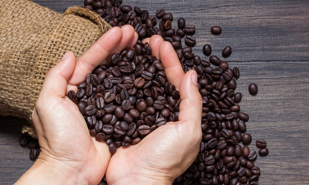 Finding the Elusive Liberica Coffee 