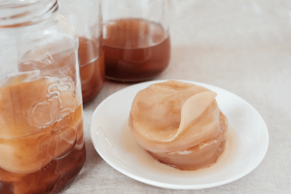 what is fermented tea?