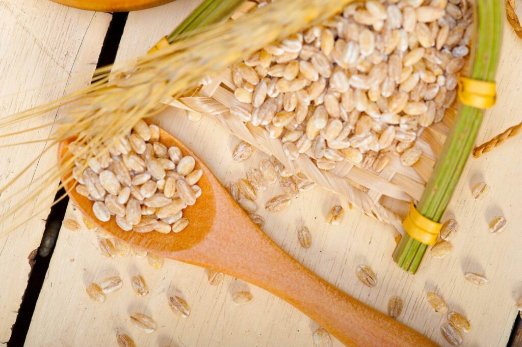 organic wheat grains over rustic wood table - can you grind wheat in a coffee grinder