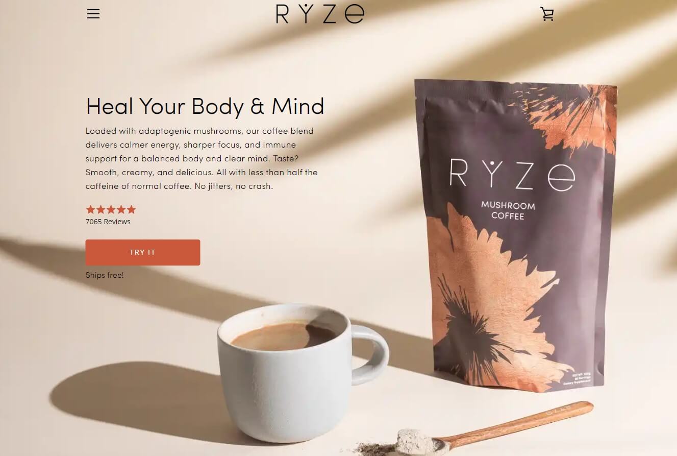 Why Mushroom Coffee? 4 Undeniable Reasons Why It's A Must Try