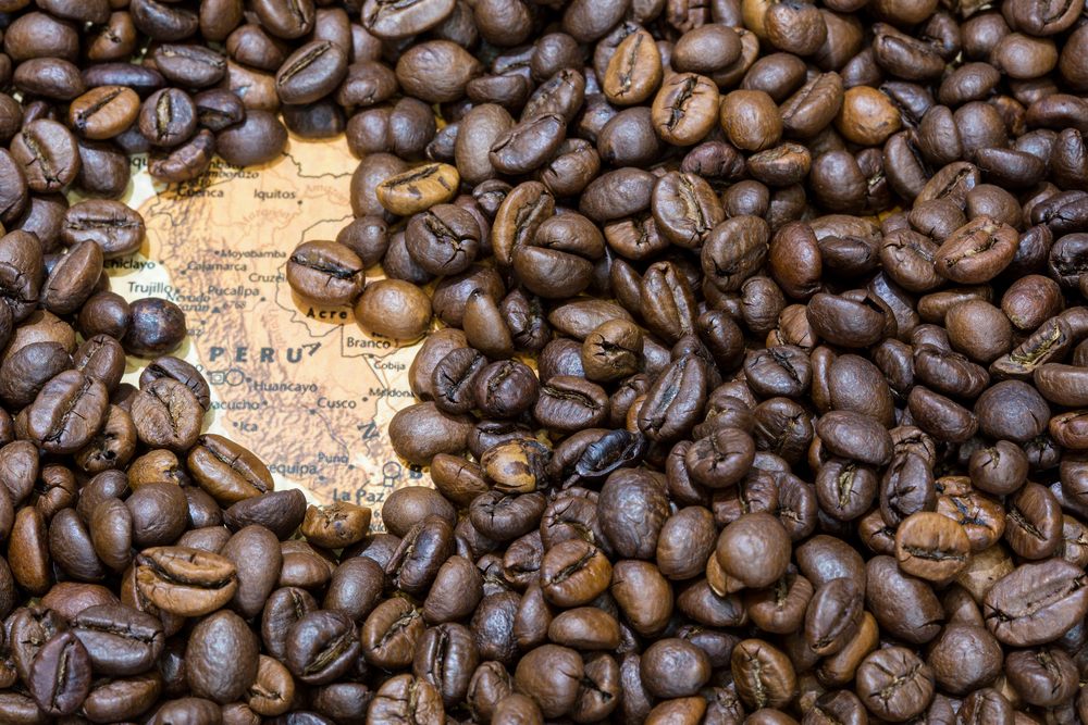 Best Peruvian coffee brands
