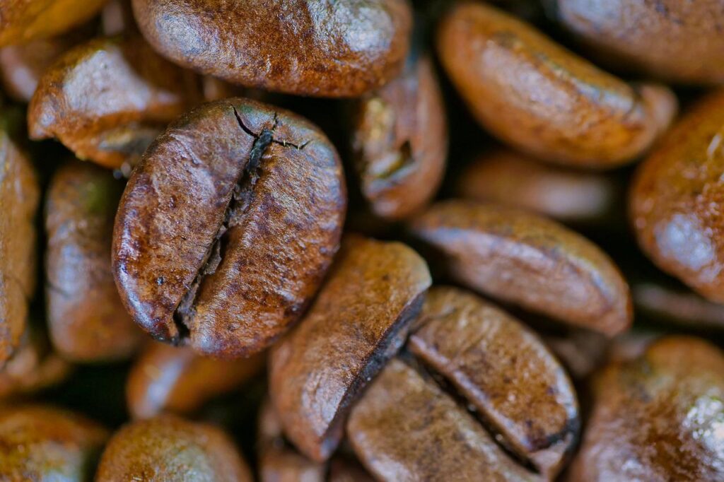 Will oily coffee beans clog a coffee grinder?