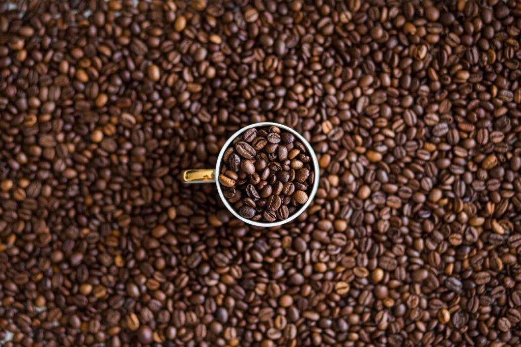 Caturra coffee beans