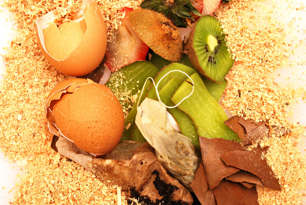 kitchen waste