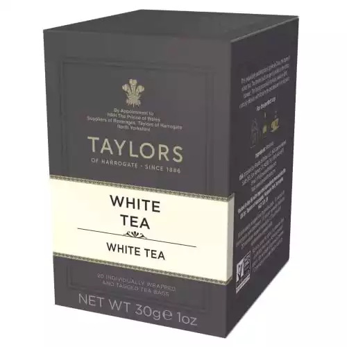 Taylors of Harrogate White Tea, 20 Teabags (Pack of 1)