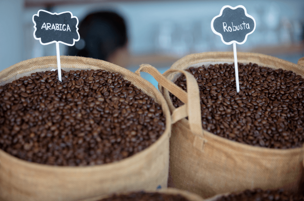 A bags of arabica and robusta coffee beans