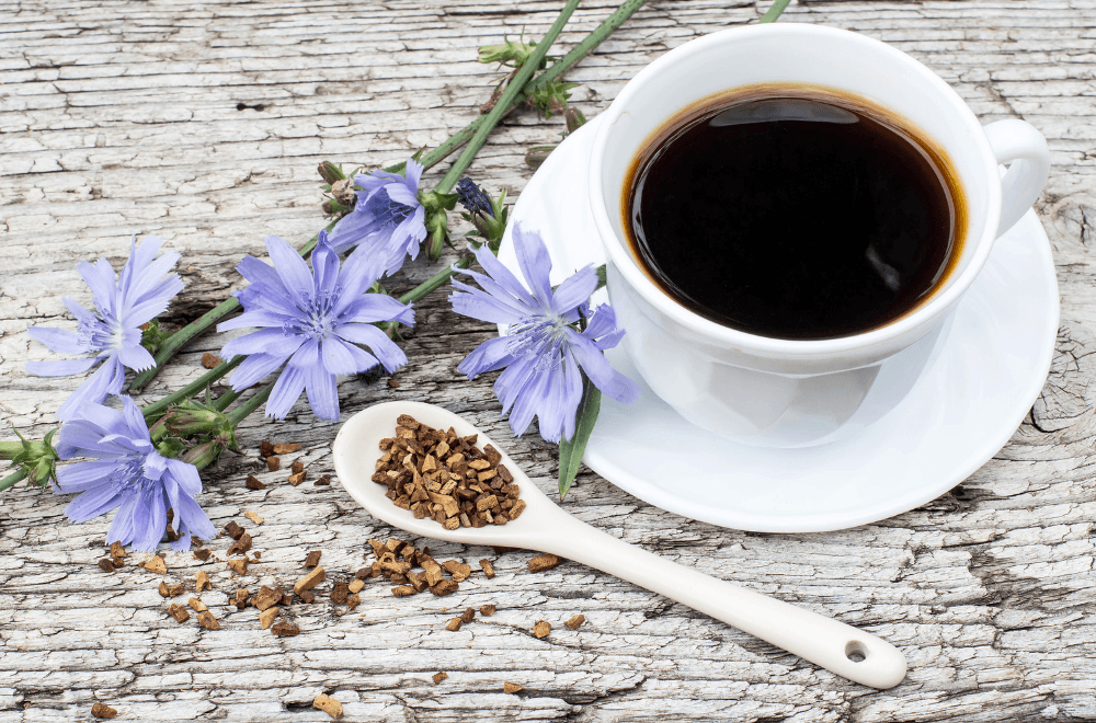 Chicory Root Coffee 