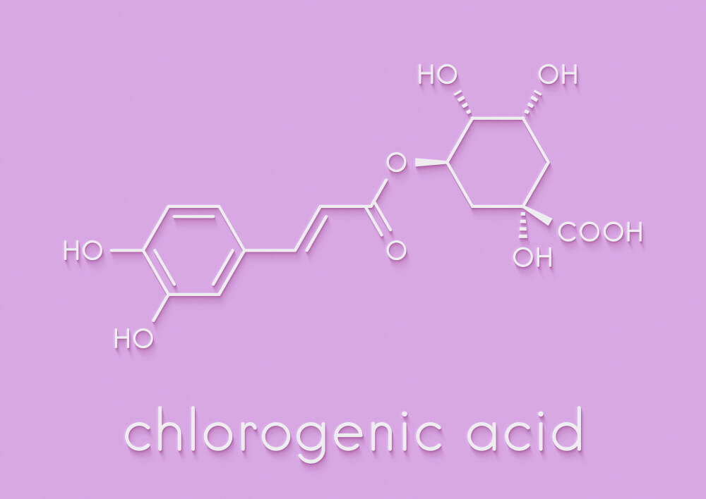 Chlorogenic acid elements