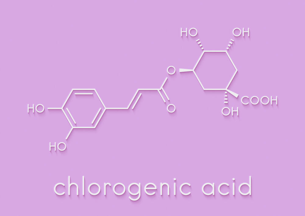 Chlorogenic acid elements