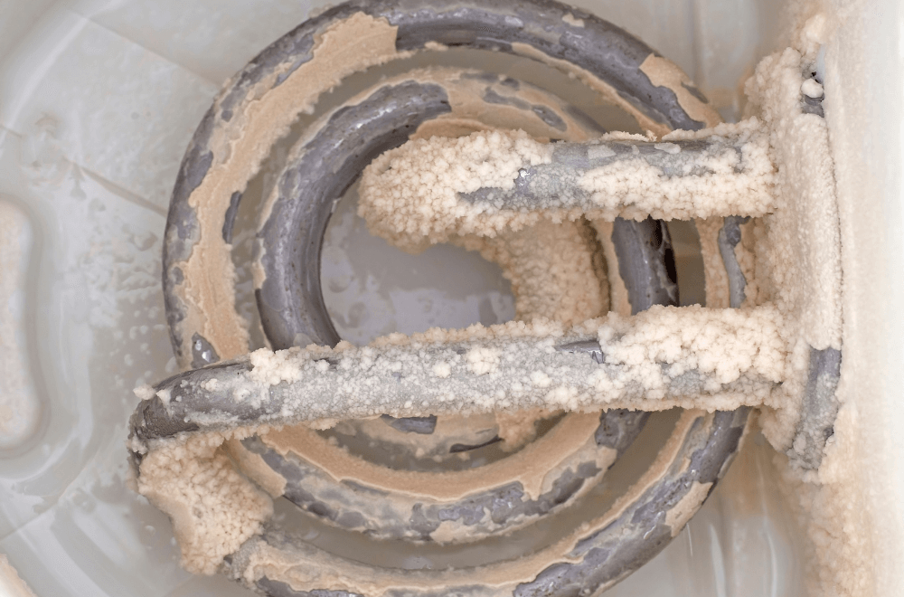 Electric kettle limescale build-up