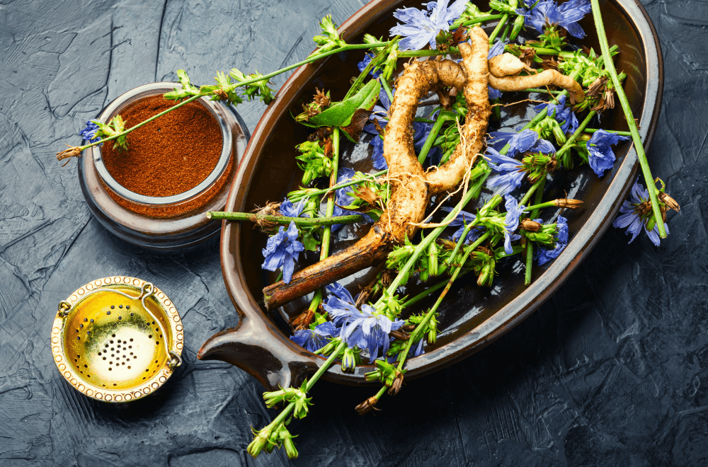 Chicory root and chicory flowers, weed.