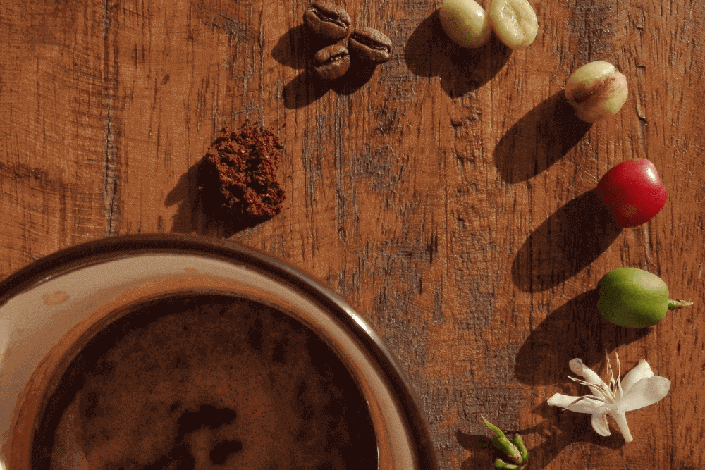 Coffee process, flowers, and beans