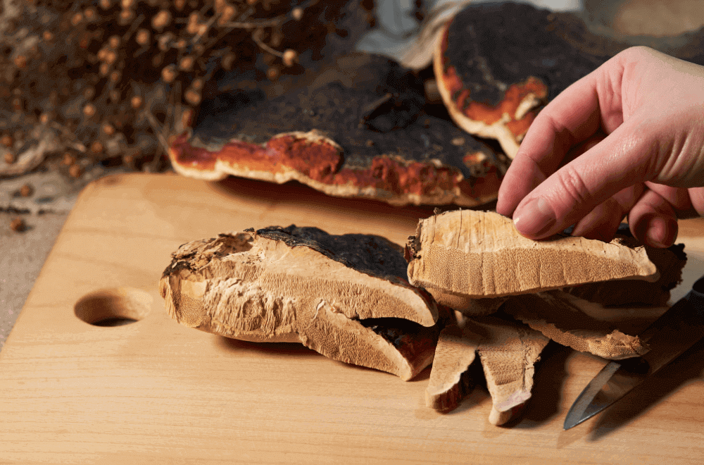 Sliced Reishi mushroom