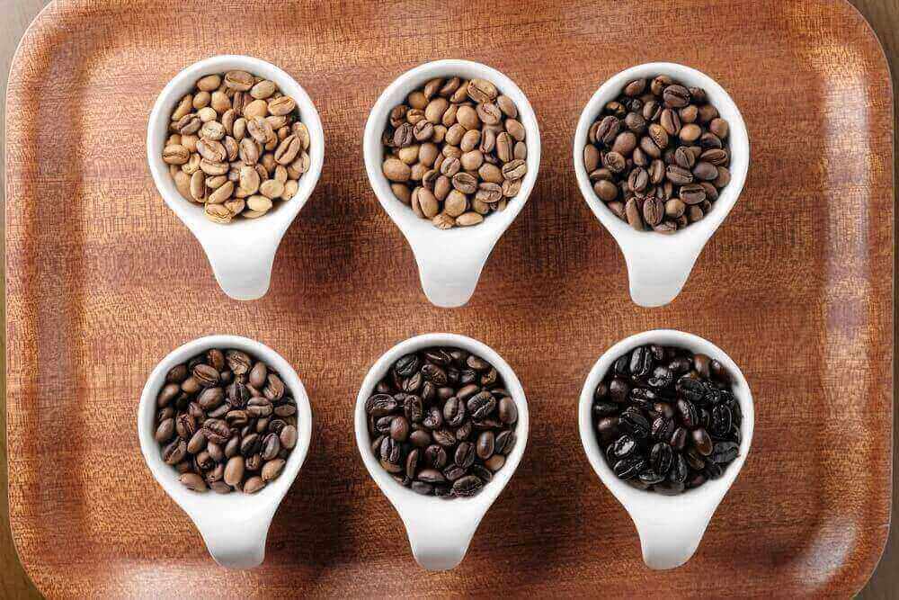 different stages of coffee roasting