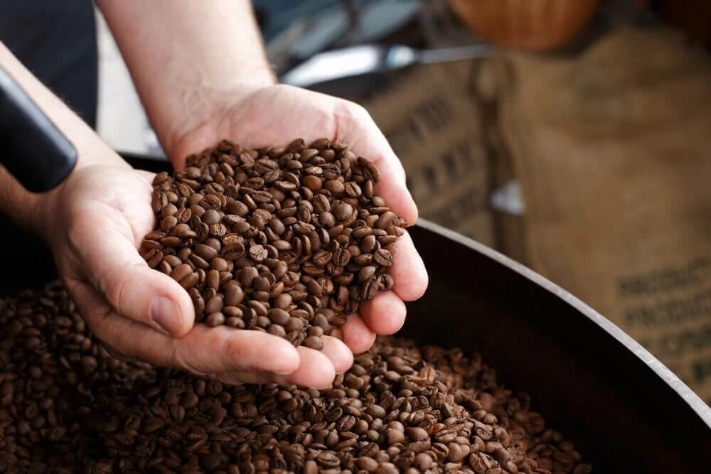 A hand holding roasted coffee beans
