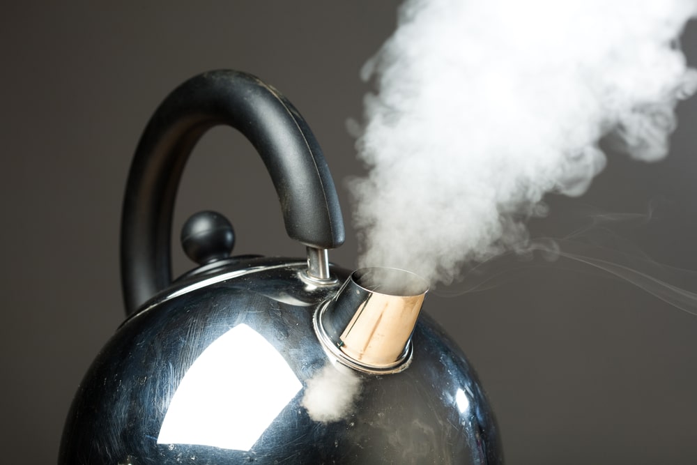 best electric kettle