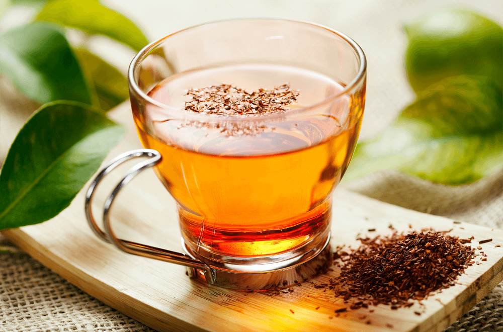 Best rooibos tea brands