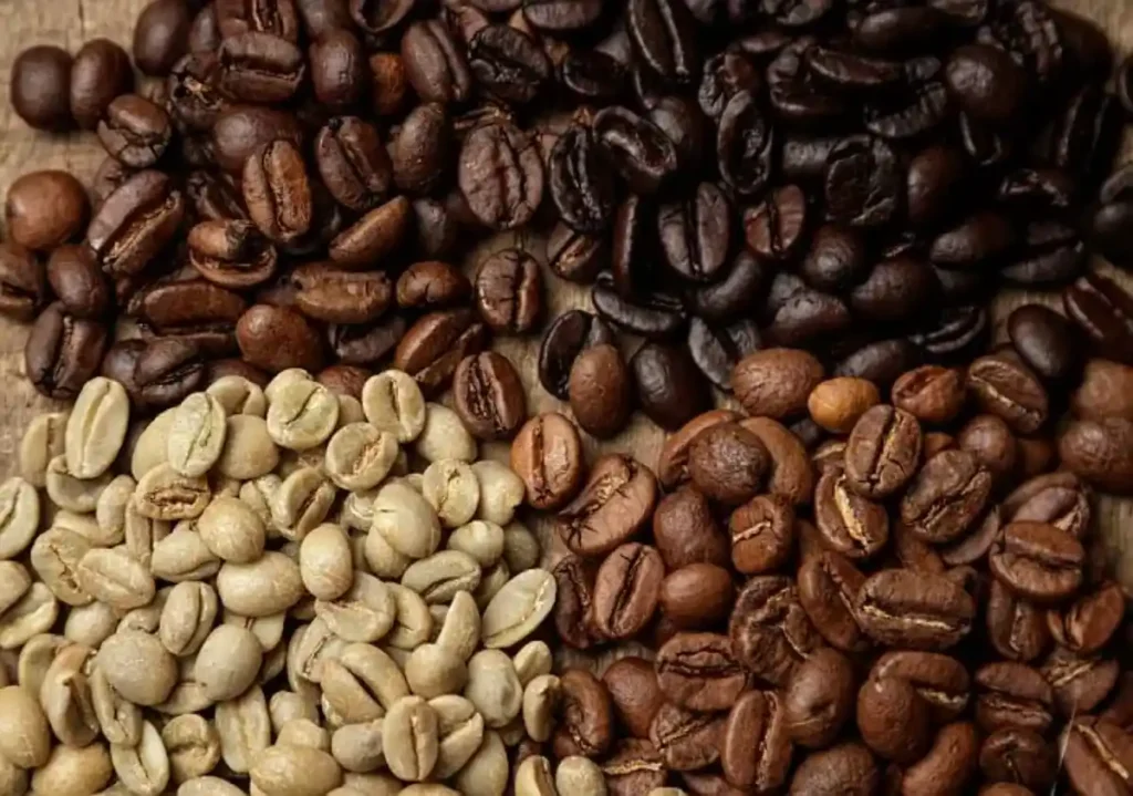 Three varieties of coffee beans
