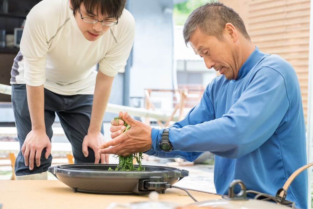 Mature Japanese father teaching son to roll fresh tea leaves