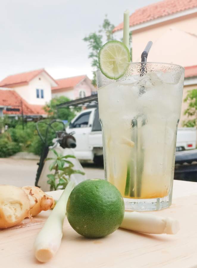 How To Make A Ginger Drink With Ginger Powder? 7 Healthy Recipes