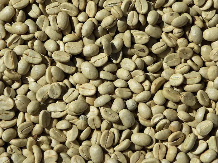 Coffee beans close up.