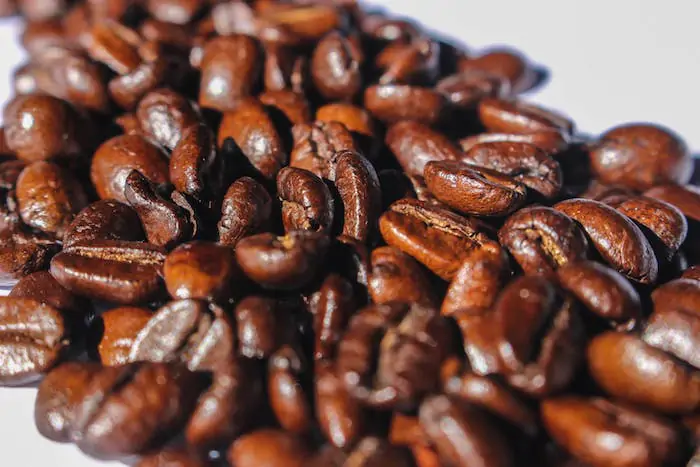 Close up of roasted coffee beans - why are some coffee beans oily