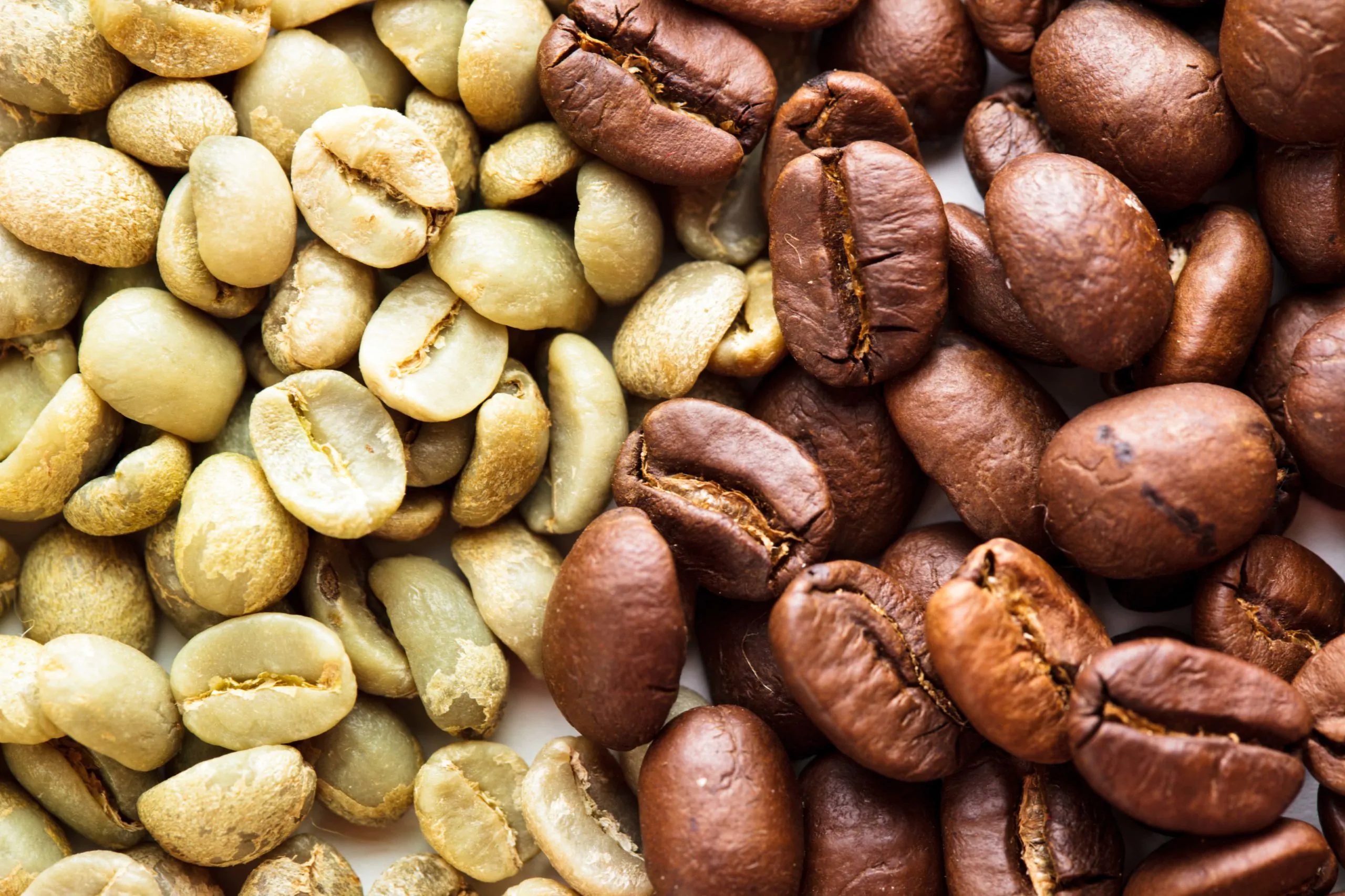 Coffee bean varieties.