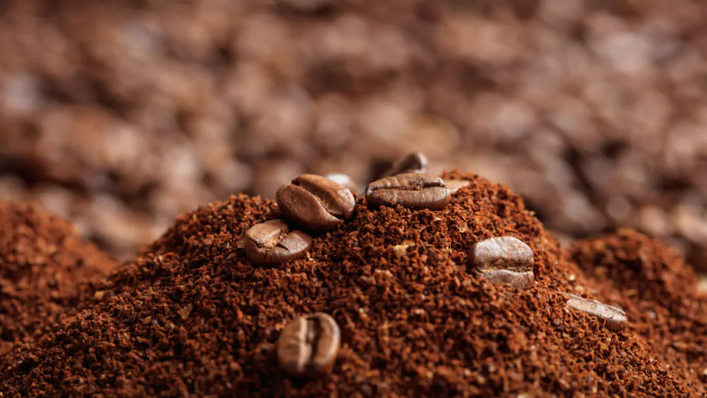 ground coffee vs whole coffee beans
