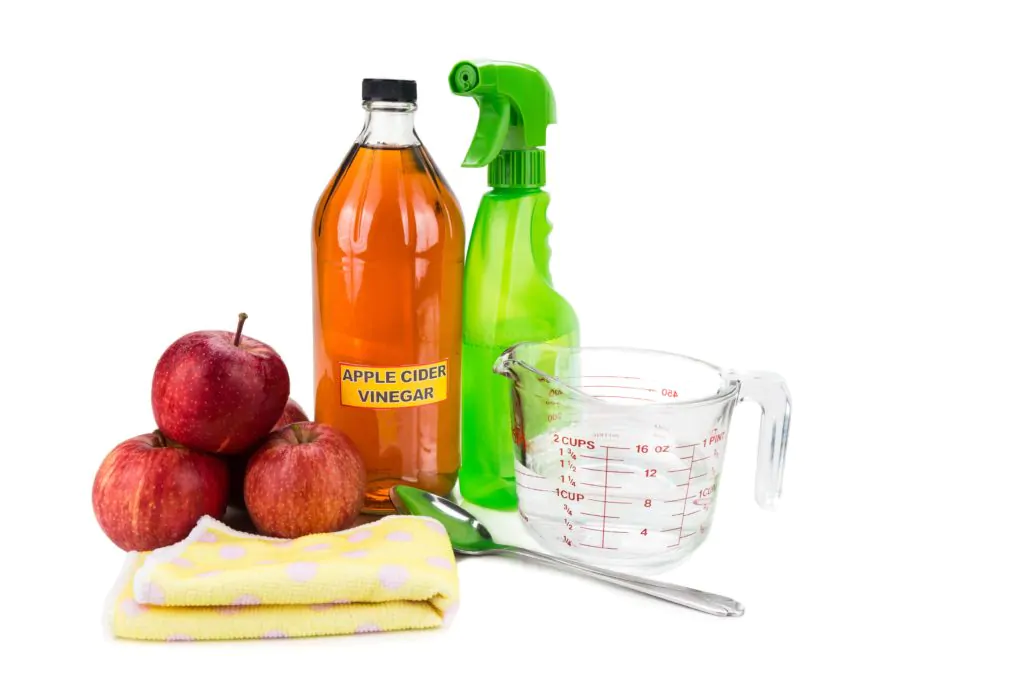 Can you use apple cider vinegar