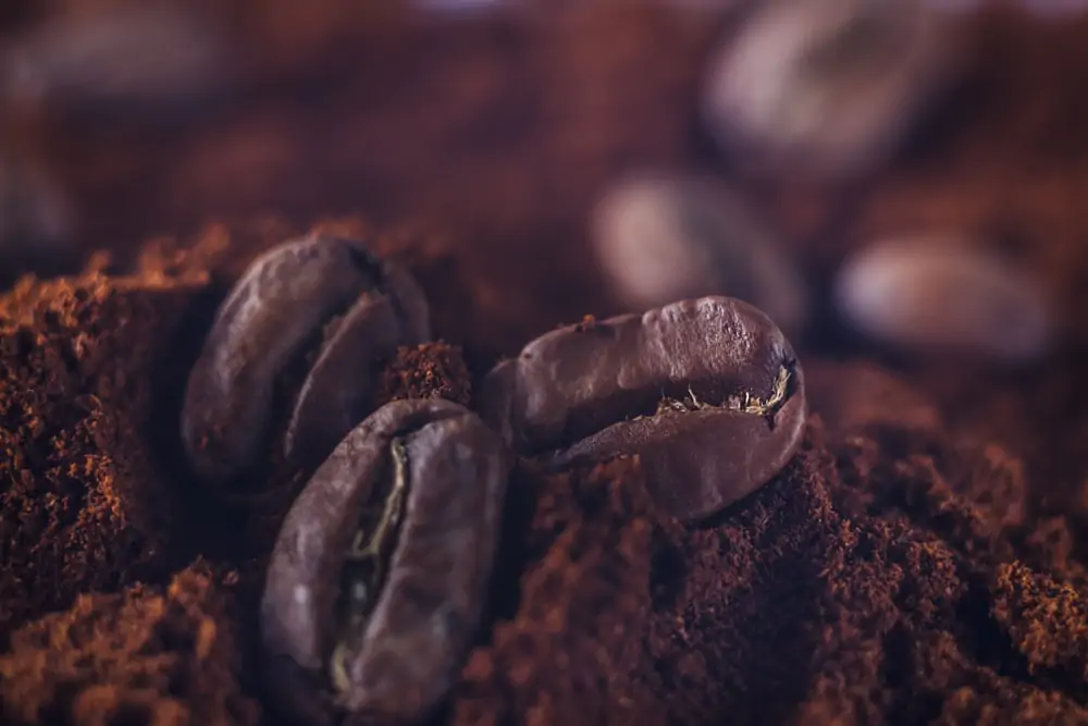A close up of a coffee bean
