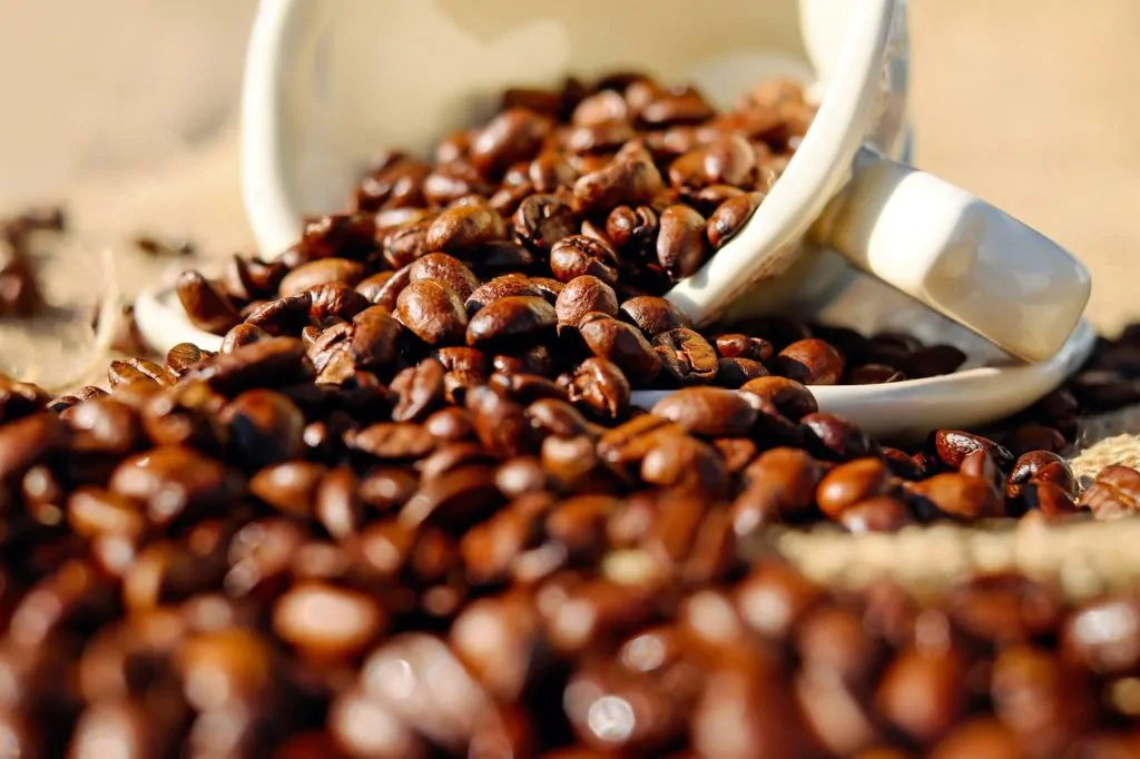 Oil is one of the elements that define the strength of a coffee roast