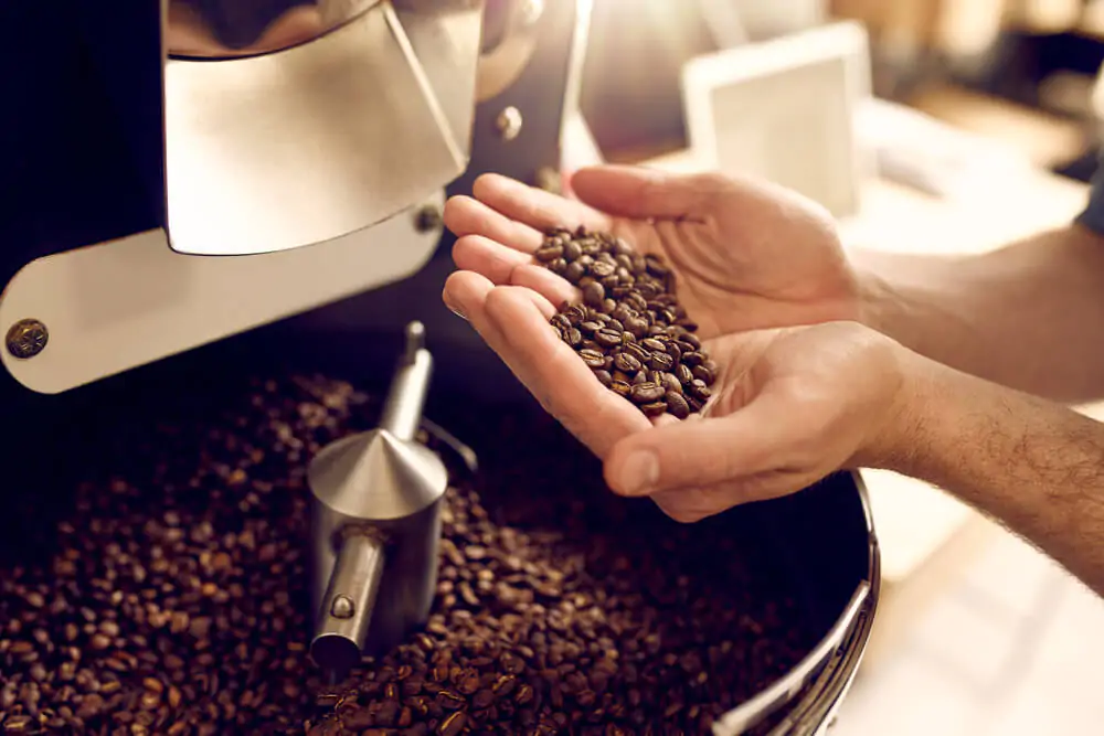 How much caffeine does decaf coffee have - scooping small amount of roasted coffee beans in hands