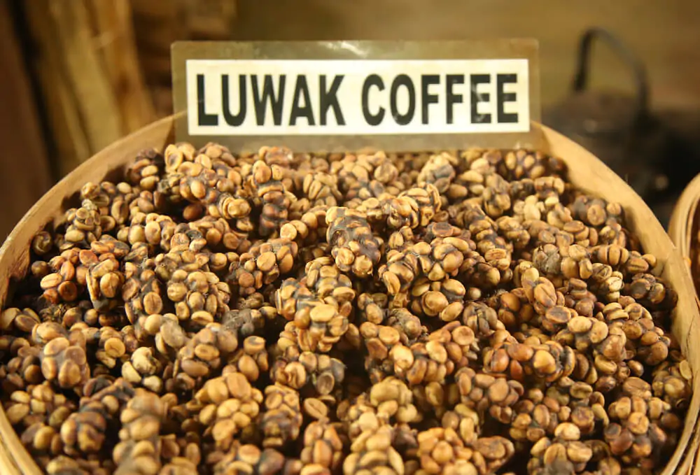 luwak coffee in a circular basket