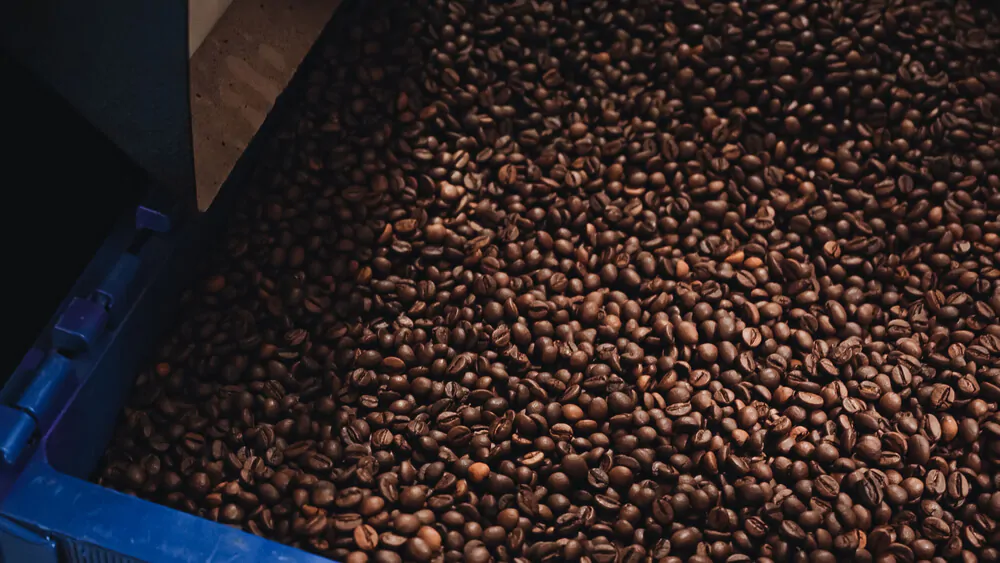 thousands of coffee beans on a compartment