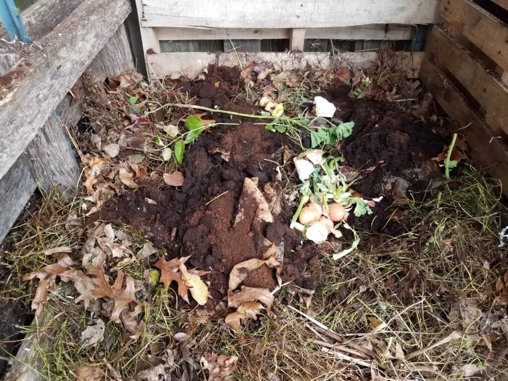 compost pile with soil and dirt and coffee grounds and filters and egg shells