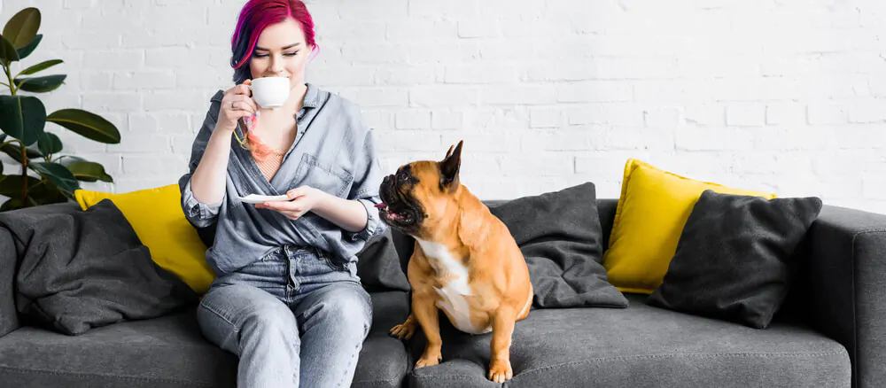 Why is coffee bad for dogs