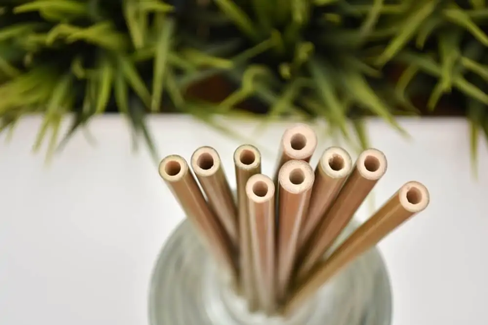 a close-up shot of bamboo straws