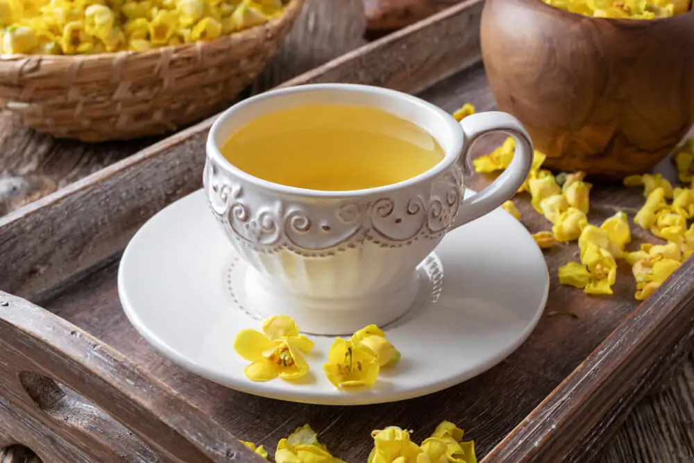 a cup of mullein tea - what is mullein tea