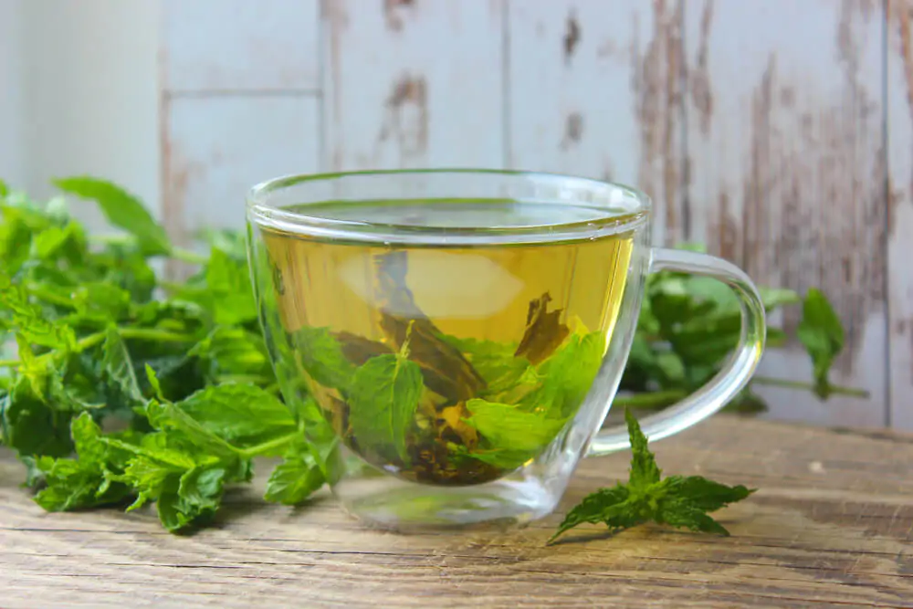 Natural spearmint tea and fresh spearmint leaves - What is Spearmint tea