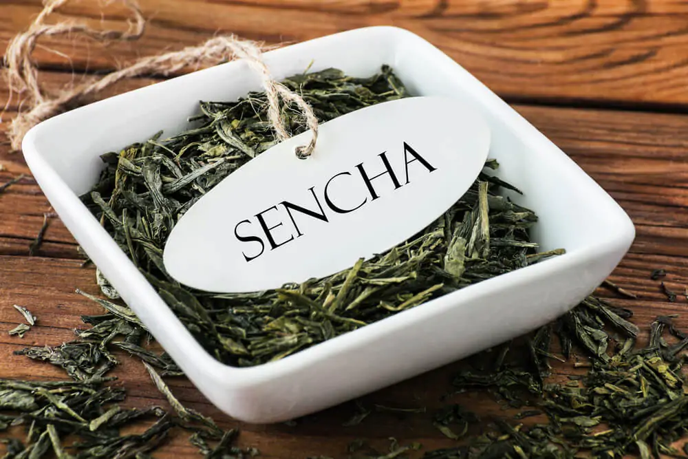 Sencha te leaves in a white bowl - what is sencha tea