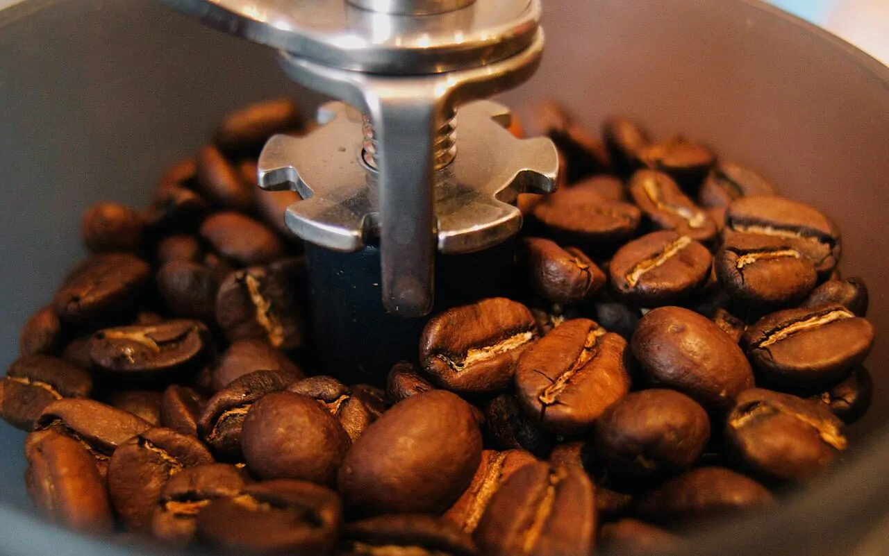 How long do coffee grinders last?