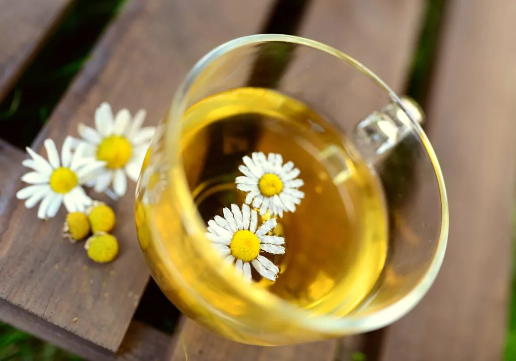 Best alternatives to green tea: Chamomile Tea