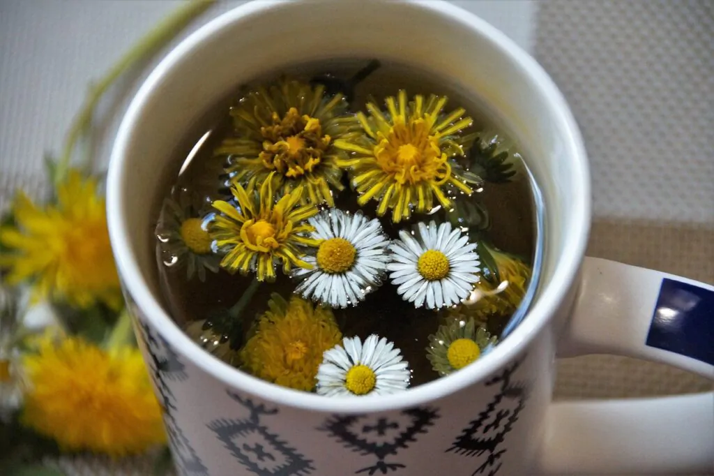 herbal tea with dandelion flowers floating at the top