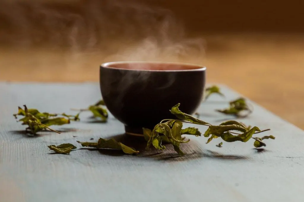 Best Alternatives To Green Tea