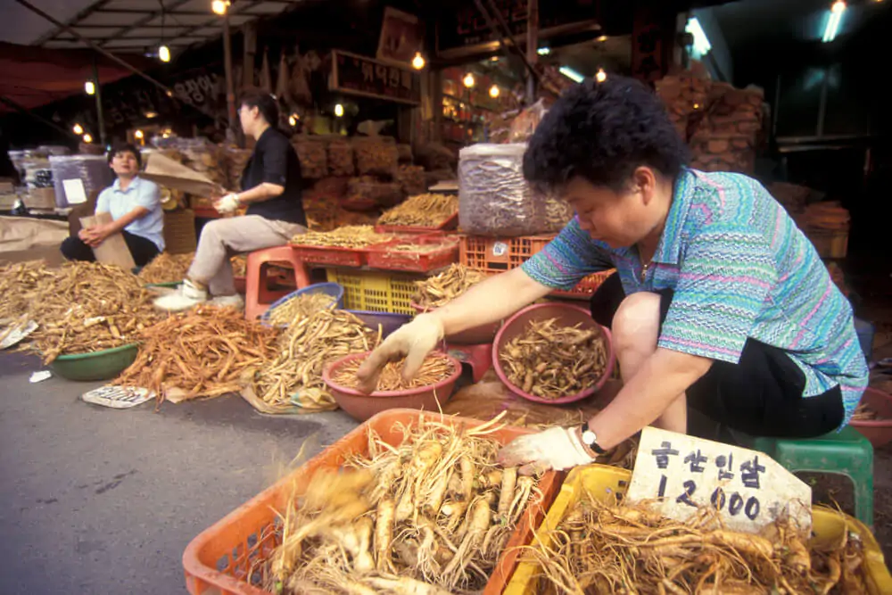 Ginseng in a shop on a market in the city of Seoul in South Korea in EastAasia