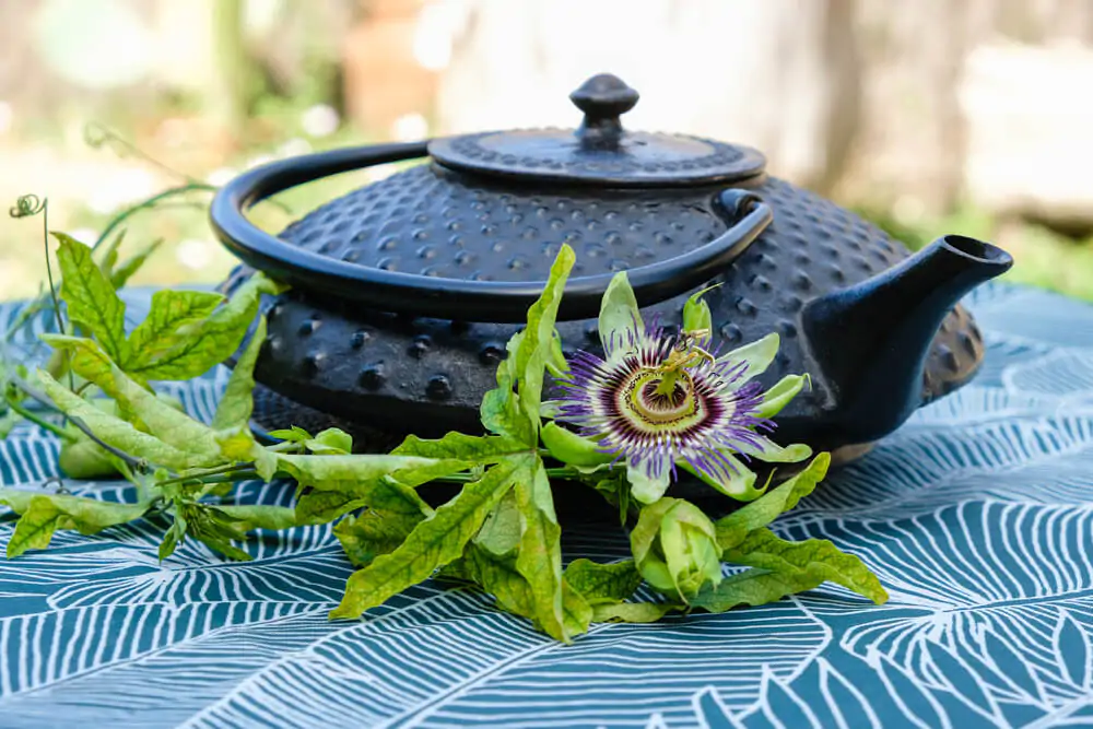 Cast iron tea kettle and passionflower on a turquoise tablecloth