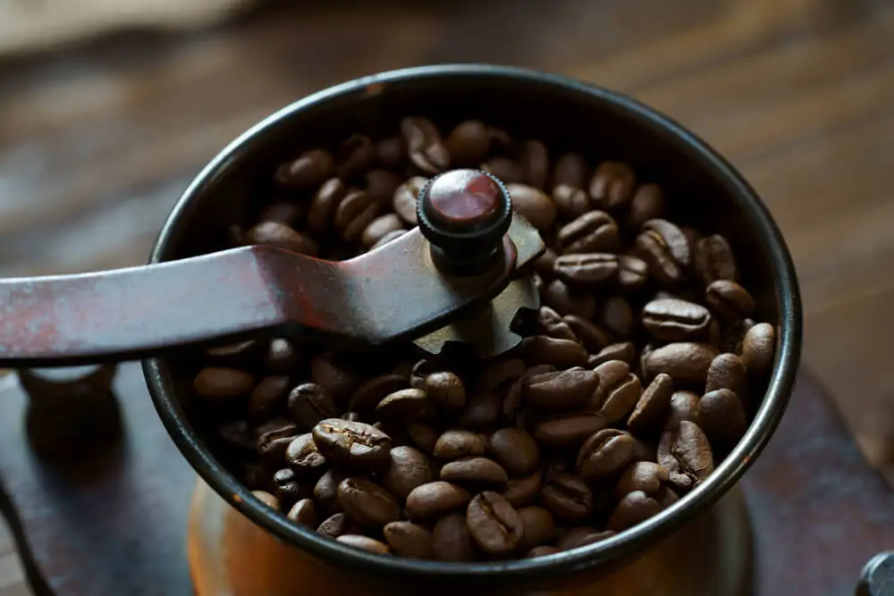 coffee grinder with roasted coffee beans inside