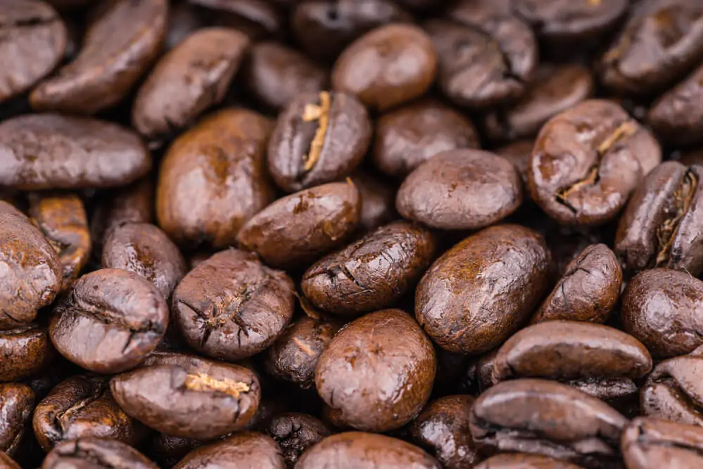 Are Oily Coffee Beans Better