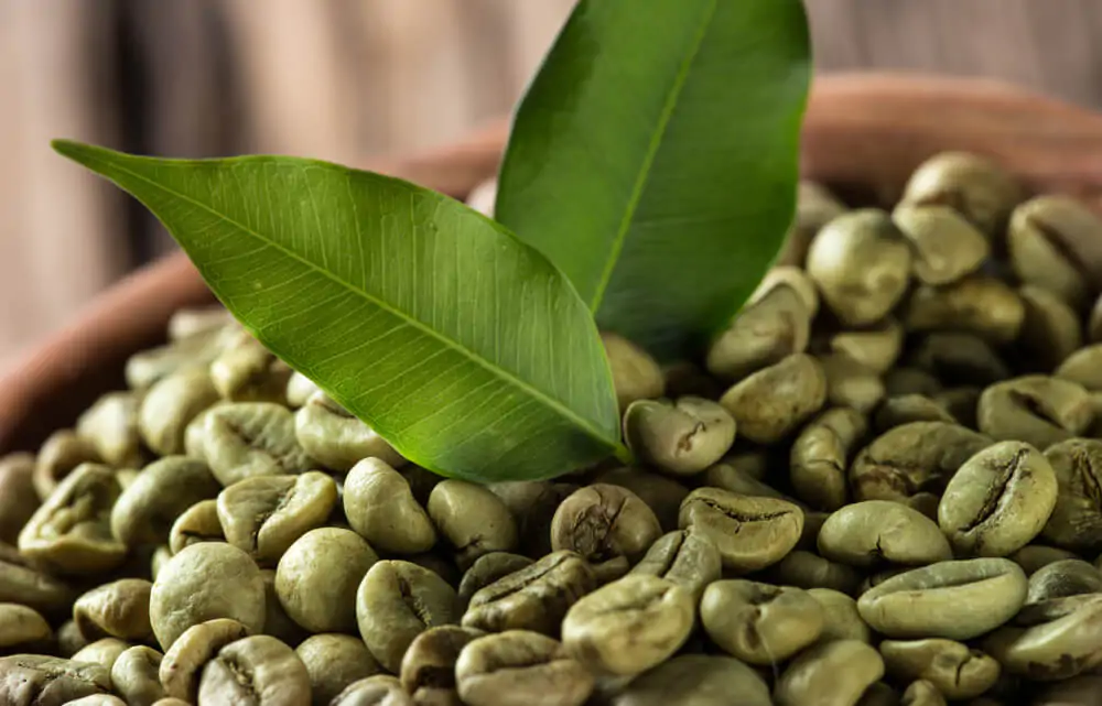 green coffee beans in a wooden bowl with two leaves in the middle