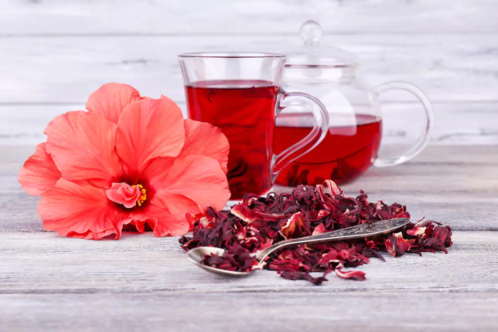 hibiscus tea with flower